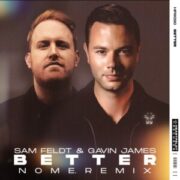 Sam Feldt & Gavin James - Better (NOME. Remix)