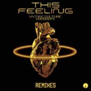 Vintage Culture & GOODBOYS - This Feeling (Remixes)