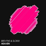 BREVTHE & Slokix - Heaven