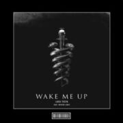 Luca Testa & Patrick Lentz - Wake Me Up (Hardstyle Remix)