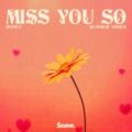 Honey & Summer Vibes - Miss You So