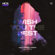 32Stitches & GNDHI - Wish You The Best (feat. J Fitz)
