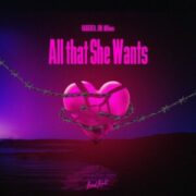 VARGENTA & JJM & Millows - All That She Wants