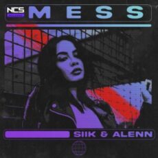 SIIK & Alenn - Mess (Extended Mix)