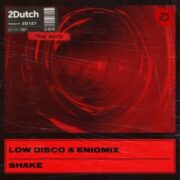 Low Disco & Enigmix - Shake