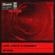 Low Disco & Enigmix - Shake