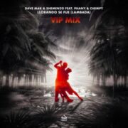 Dave Mak & Shemenzo feat. Phany & Chempy - Llorando Se Fue (Lambada) (VIP Mix)