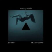 SHAED - Trampoline (Roge Remix)