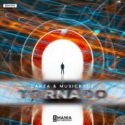 Larza & MusicbyDz - Tornado (Extended Mix)