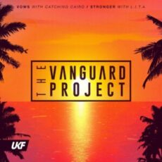The Vanguard Project - Vows / Stronger