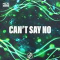 JJD - Can't Say No