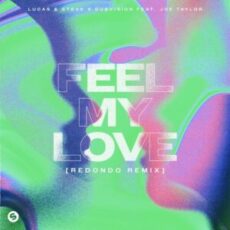 Lucas & Steve x DubVision feat. Joe Taylor - Feel My Love (Redondo Remix)