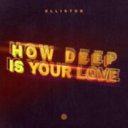 Ellister - How Deep Is Your Love (Extended Mix)