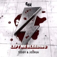 Teddy & Joshua - Left Me Bleeding