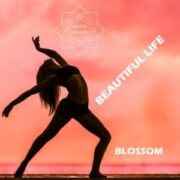 Blossom - Beautiful life