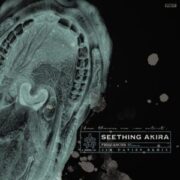 Seething Akira - Frequencies (Jim Davies Remix)