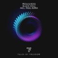 Mesa & Boss - Black Hole (Vigel Remix)