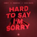 Crew 7, ThomTree & Robin White - Hard to Say I'm Sorry (Extended Mix)