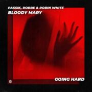 PASSIK, Robbe & Robin White - Bloody Mary (Extended Mix)