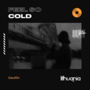 Gaullin - Feel so Cold
