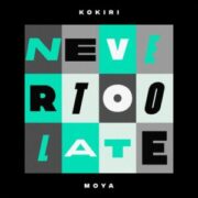 Kokiri & Moyà - Never Too Late