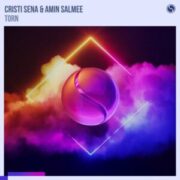 Cristi Sena & Amin Salmee - Torn (Extended Mix)