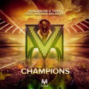 AvAlanche & DJ Tivek feat. Nathan Brumley - Champions (Extended Mix)