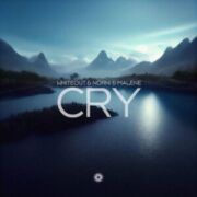 Whiteout & Norni & Malene - Cry (Extended Mix)