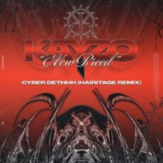 Kayzo - CYBER DETHHH (Hairitage Remix)