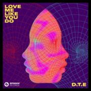 D.T.E - Love Me Like You Do