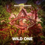 Meikle & Severman - Wild One (feat. Anthony Meyer)