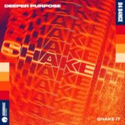 Deeper Purpose - Shake It