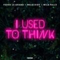 Fedde Le Grand x Melo.Kids x Mila Falls - I Used To Think (Extended Mix)