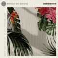 Dimitri Vegas x Steve Aoki - The White Lotus Theme (Aloha) (Extended Mix)