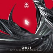 Catz 'n Dogz & Ferreck Dawn - Cloud 9 (Extended Mix)