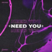 DigEx - Need You