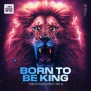 The Pitcher feat. MC D - Born To Be King (Extended Mix)