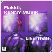 Flakkë & KENNY MUSIK - Like That!