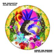 Big Gigantic & Aloe Blacc - Keep On Rising (Big Gigantic Remix)
