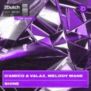 D'Amico & Valax, Melody Mane - Shine (Extended Mix)