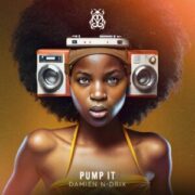 Damien N-Drix - Pump It (Extended Mix)