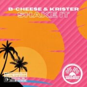 B-Cheese & Krister - Shake It