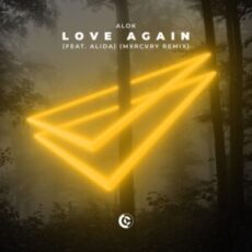 Alok & Alida - Love Again (feat. VIZE) [MXRCVRY Remix]