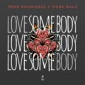 Rene Rodrigezz & Mark Bale - Love Somebody