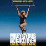 Miley Cyrus Vs Avicii & Nicky Romero - Flowers Vs I Could Be The One (Djs From Mars & Mo27Da Bootleg)