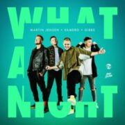 Martin Jensen x VAMERO x Gibbs - What a Night
