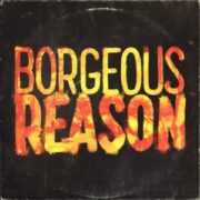 Borgeous - Reason