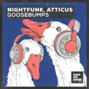NightFunk & Atticus - Goosebumps (Extended Mix)