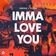Tungevaag & Steerner - Imma Love You