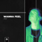 Jínzz - Wanna Feel (Extended Mix)